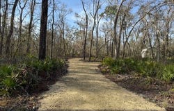 TBD SW 79TH TERRACE, Jasper, FL 32052