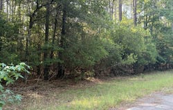 Silver Birch lot: 19, Village Mills, TX 77663