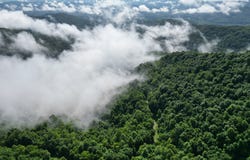 0 Kensee Hollow Rd, Williamsburg, KY 40769