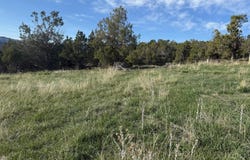 14495 Scott Loop, Collbran, CO 81624