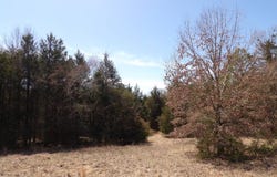 4040 Cold Spring Rd, Atoka, OK 74525