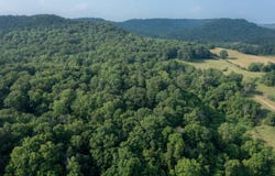 5800 block Highway 337, Bradfordsville, KY 40009
