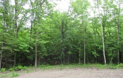 2975 28 1/2 Street, Birchwood, WI 54817
