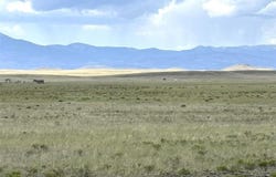 00 ACOOLATHA ROAD, Hartsel, CO 80449
