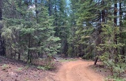 361 Mule Lovers Ln, Hayfork, CA 96041