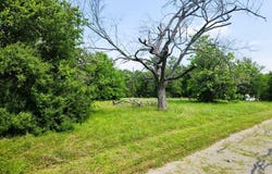142 Boshart Way, Gun Barrel City, TX 75156