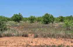 Hwy 277N, Bronte, TX 76933