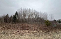 LOT 19 CRESTVIEW DRIVE, CADILLAC, MI 49601