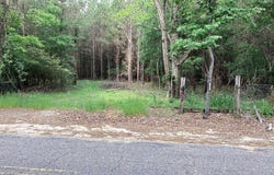 1290 Guy Branch Road, Cottonwood, AL 36320
