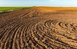 2 Ranch Rd 2163, Rochester, TX 79544