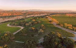 6903 Foxen Canyon Road, LOS OLIVOS, CA 93441
