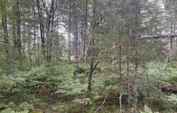 LOT 223 WEST RIVER RD, NAUBINWAY, MI 49762