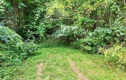 2.885 AC US Hwy 76 W, Hiawassee, GA 30546