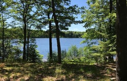 21249 Monroe Road, Morley, MI 49336