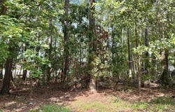 2204 Nelson Street, New Bern, NC 28562