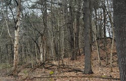 189  County Route 26, Coxsackie, NY 12042