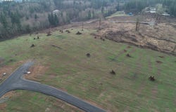 227 Ash Mountain DR, Castle Rock, WA 98611