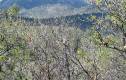 1000 Perry Dr., Pagosa Springs, CO 81147