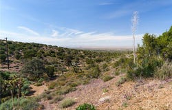 Silver Rock, Pinon Hills, CA 92372