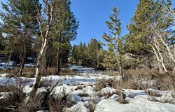 German Brown Lane, Chiloquin, OR 97624