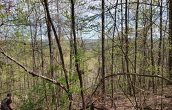 Watson Branch Lane, Speedwell, TN 37870