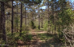 1256 Barnes Rd, Canton, MS 39046