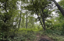 Lot 2 St Lawrence Bluff Road, Poynette, WI 53955