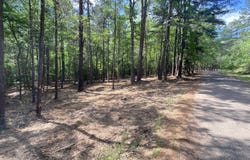 TBD Athens Church Road, Hallsville, TX 75650