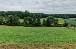 Hilltop Drive NW, Strasburg, OH 44680