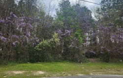 6430 Norris Street, Columbia, SC 29209