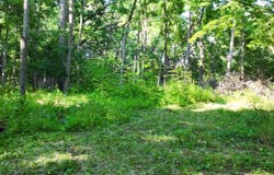 W SHERIDAN Road, Petersburg, IL 62675