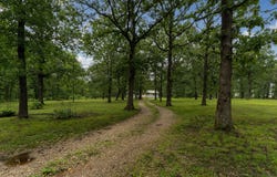 143 Royal Drive, Marshfield, MO 65706