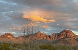 657 Lost Drive Road, Terlingua, TX 79852
