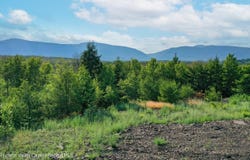 0 Lot Fish Creek Road, Saugerties, NY 12477
