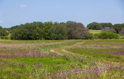 Tbd Highway 84, Mullin, TX 76864