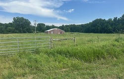 V/L Lammers Road, Delton, MI 49046