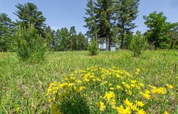 5328 HWY 70, Eagle River, WI 54521