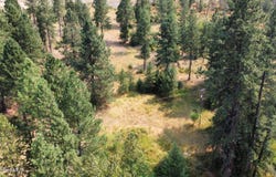 24124 S Highway 3, Cataldo, ID 83810