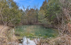 2889 Tea Run Road, Ewing, OH 41038