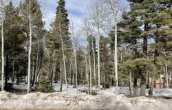 Rio Arriba lot: 337, Angel Fire, NM 87710-0000