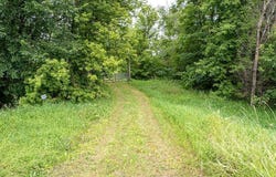 22660 713th Avenue, Dassel, MN 55325