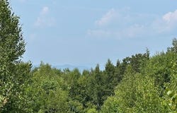 00 Brownfield Road, Conway, NH 03813
