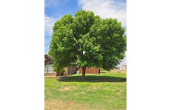 10305 E County Rd 105, Midland, TX 79706