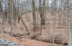 10 HIDDEN POND Drive, READING, PA 19607