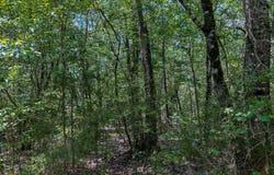 0 Oakley Road, Hybart, AL 36452