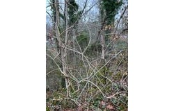 Indian River Boat Dock Rd, Jacksboro, TN 37757