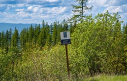 184 Orion Drive, Whitefish, MT 59937
