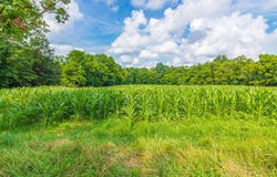 3188 St Rt 125, West Union, OH 45693