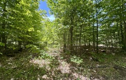 Par 5 Needles Road, Indian River, MI 49749