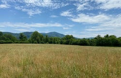 3 PHILLIPS LN, NELLYSFORD, VA 22958
